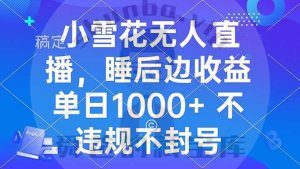 小雪花无人直播 睡后收益单日1000+ 零粉丝新号开播 不违规 看完就会-舜爸的藏宝库
