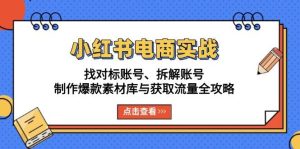 小红书电商实战:找对标账号、拆解账号、制作爆款素材库与获取流量全攻略-舜爸的藏宝库