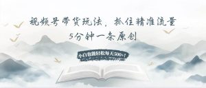 视频号带货玩法,抓住精准流量,5分钟一条原创,小白也能轻松每天500+!-舜爸的藏宝库