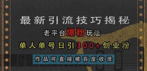 最新引流技巧揭秘，老平台爆粉玩法，单人单号日引300+创业粉，作品可直…-舜爸的藏宝库