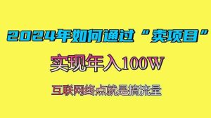 2024年如何通过“卖项目”赚取100W:最值得尝试的盈利模式-舜爸的藏宝库