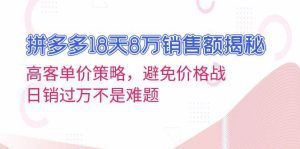 拼多多18天8万销售额揭秘:高客单价策略,避免价格战,日销过万不是难题-舜爸的藏宝库