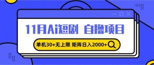 11月ai短剧自撸，单机30+无上限，矩阵日入2000+，小白轻松上手-舜爸的藏宝库