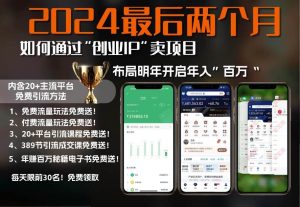 2024最后两个月如何通过”创业IP“卖项目年入”百万“,创业IP+最强引流…-舜爸的藏宝库
