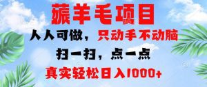 轻松薅羊毛项目：人人可参与，一键操作日入1000+！-舜爸的藏宝库