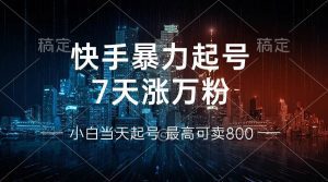 快手快速涨粉秘籍：7天突破万粉，小白也能轻松起号，多元变现策略与账号回收技巧！-舜爸的藏宝库