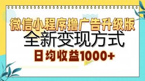 微信小程序广告撸一族:全新变现方式,轻松实现日均收益1000+!-舜爸的藏宝库