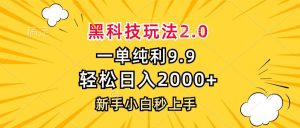 黑科技玩法2.0:每单仅需9.9,轻松日赚2000+,新手秒上手!-舜爸的藏宝库