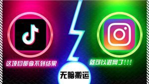 抖音轻松搬运项目：如果还得不到结果，就考虑退网吧！-舜爸的藏宝库