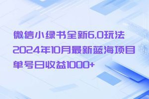 微信小绿书6.0全新玩法:2024年10月蓝海项目,单号日赚1000+!-舜爸的藏宝库