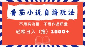 番茄小说新玩法:无视流量与质量,轻松实现日入1000+!-舜爸的藏宝库