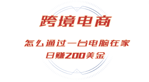 在家通过电脑赚钱:日赚200美元的跨境电商秘笈,货品畅销全球!-舜爸的藏宝库