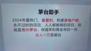 魔法贵州茅台代理：科技驱动的永恒项目，打破传统玩法，极高命中率！-舜爸的藏宝库