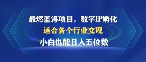 最具潜力的蓝海项目：数字IP孵化，适合各行业变现，小白轻松实现日入五位数！-舜爸的藏宝库