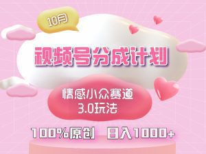 视频号情感小众赛道3.0：纯原创视频，每日1小时，小白轻松上手！-舜爸的藏宝库