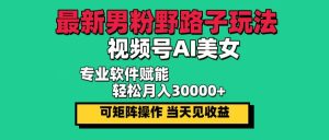 男性粉丝新玩法:视频号AI美女,轻松实现当天见效,月入30000+!-舜爸的藏宝库