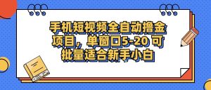 手机短视频盈利项目:新手小白轻松掌握,单窗口单平台收益5-20元可批量操作!-舜爸的藏宝库