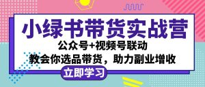 小绿书AI带货实战营：公众号与视频号联动，轻松掌握选品带货，助力副业增收！-舜爸的藏宝库