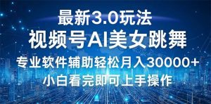 视频号3.0全新玩法:新手轻松实现月入30000+-舜爸的藏宝库