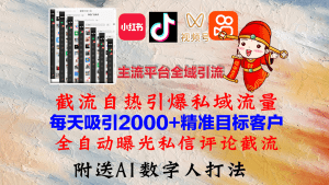 全域引流攻略：小红书、抖音、视频号与快手引爆私域流量-舜爸的藏宝库