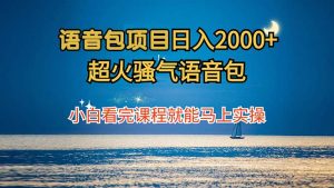 超火语音包项目:小白课程后轻松日赚2000+-舜爸的藏宝库