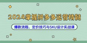 2024拼多多运营全攻略：爆款打造、定价策略与SKU设计实战-舜爸的藏宝库