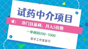 冷门高收益试药中介项目:单单利润200-1000,月入轻松五位数,适合小白工作室-舜爸的藏宝库