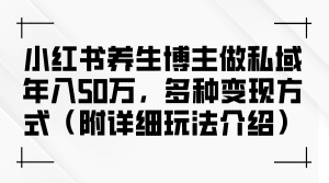 小红书养生博主私域盈利策略:年入50万的多种变现方式(含详细玩法)-舜爸的藏宝库