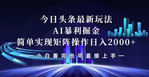 今日头条最新掘金策略：轻松矩阵日入2000+-舜爸的藏宝库