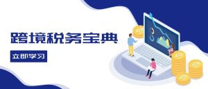 跨境税务指南:全球电商税务处理策略全解析-舜爸的藏宝库