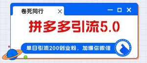 拼多多引流付费策略：单日引流200+，日赚4000+轻松实现-舜爸的藏宝库