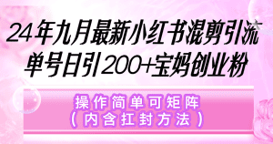 小红书混剪引流秘籍：单号日引200+，宝妈创业必备，操作简便可矩阵-舜爸的藏宝库