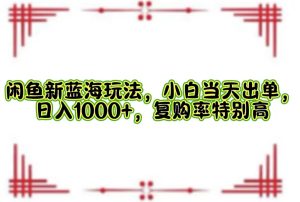 闲鱼新蓝海玩法：小白当天出单，日赚1000+，高复购率-舜爸的藏宝库