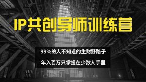 IP共创导师训练营:揭秘99%人未涉足的财富秘密,仅限少数人掌握-舜爸的藏宝库