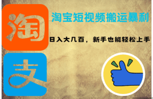 淘宝短视频搬运盈利策略:新手轻松日赚几百-舜爸的藏宝库