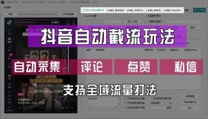抖音全域引流攻略：利用软件自动采集、评论、点赞与私信-舜爸的藏宝库