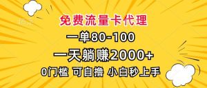 一单80，免费流量卡代理，一天躺赚2000+，0门槛，小白也能轻松上手-舜爸的藏宝库
