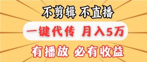 不剪辑不直播,一键代发,月入5万懒人必备,我出视频你来发-舜爸的藏宝库