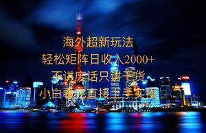 2025全新海外暴力玩法，操作简单，小白轻松上手-舜爸的藏宝库