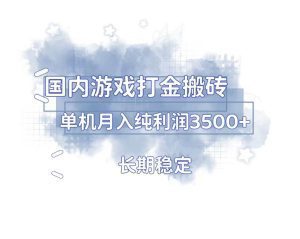 国内游戏打金搬砖，长期稳定，单机纯利润3500+多开多得-舜爸的藏宝库