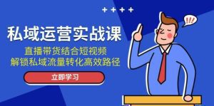 私域运营实战课：直播带货结合短视频，解锁私域流量转化高效路径-舜爸的藏宝库