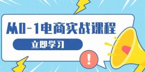 从零做电商实战课程,教你如何获取访客、选品布局,搭建基础运营团队-舜爸的藏宝库