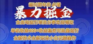 2025暴力掘金项目，想过肥年必看！-舜爸的藏宝库