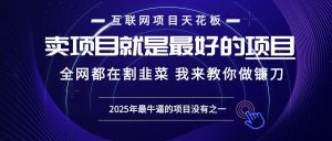 2025年普通人如何通过“知识付费”卖项目年入“百万”镰刀训练营超级IP…-舜爸的藏宝库