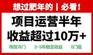 年前过肥年的必看的超冷门项目,半年收益超过10万+,-舜爸的藏宝库