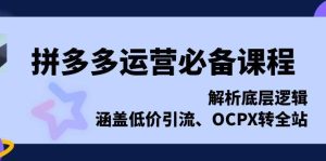 拼多多运营必备课程,解析底层逻辑,涵盖低价引流、OCPX转全站-舜爸的藏宝库