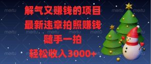 解气又赚钱的项目，最新违章拍照赚钱，随手一拍，轻松收入3000+-舜爸的藏宝库