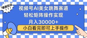 视频号蓝海赛道玩法，当天起号，拉爆流量收益，小白也能轻松月入30000+_付费教程虚拟资源创业项目网-舜爸的藏宝库