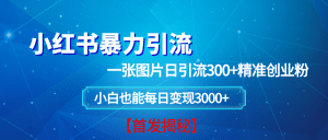 小红书暴力引流法，一张图片日引 300+精准创业粉，每日稳定变现 3000+【揭秘】_付费教程虚拟资源创业项目网-舜爸的藏宝库