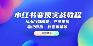 小红书变现实战教程：从小白到精英，产品定价，笔记带货，账号运营等_付费教程虚拟资源创业项目网-舜爸的藏宝库